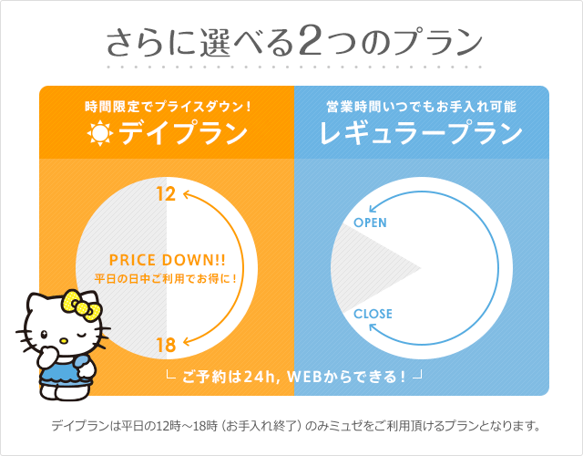 ミュゼのデイプラン、レギュラープラン